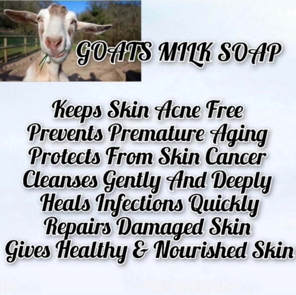 Pineapple Hibiscus GOAT MILK SOAP 1 Bar_10